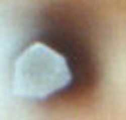 SIN M&Aacute;S RAZ&Oacute;N